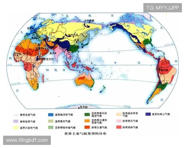 泰国与新加坡气温对比分析探讨热带气候的异同与影响