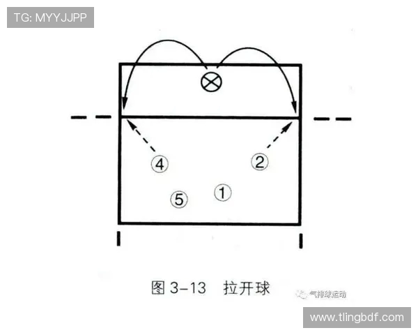 上海乒乓球队快攻战术揭秘与深度分析探讨