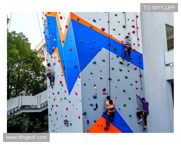 杭州攀岩队与广州攀岩队赛后复盘探讨团队协作的成功与挑战